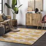 handwoven living room area rug carpet 4 X 6